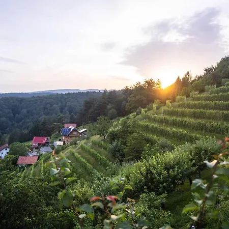 In - Zentralslowenien 43927 * Sentvid Pri Sticni